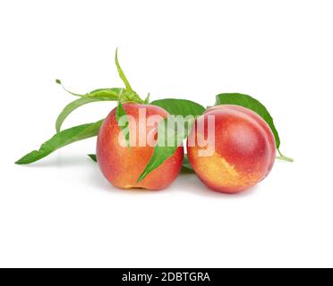 two ripe red round nectarines and a branch with green leaves isolated on white background, close up Stock Photo