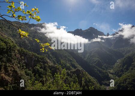 Pico do Arieiro seen from Balcoes Viewpoint, Ribeiro Firo, Madeira, Portugal Stock Photo