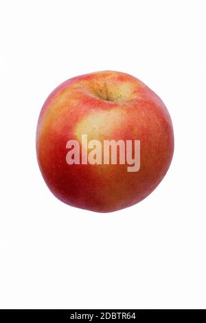 Pacific Rose apple (Malus domestica Sciros). Hybrid between Gala and Splendour apples. Image of apple isolated on white background Stock Photo