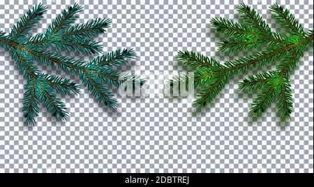 Christmas, New Year. Realistic Christmas tree branch in blue and green on a transparent background with shadow. Cards, business cards, invitations. Ve Stock Photo