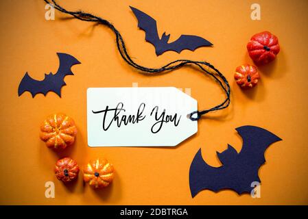 White Label With English Text Thank You. Halloween Decoration Like Bat. Autum Pumpkin Decoration On Orange Background Stock Photo