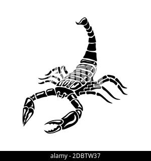 Black and white Scorpion for tattoos, zodiac sign, vector illustration Stock Photo