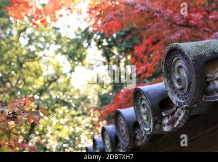 Remote, historic temple with a serene atmosphere & peaceful garden surroundings. Shuon-an Ikkyuji in Kyoto Stock Photo