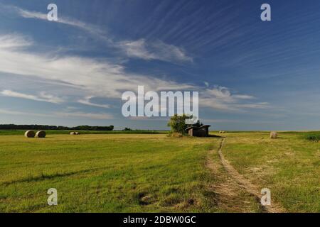 Landscape between Wustrow and Saaler Bodden, Baltic Sea, Peninsula Fischland-DarÃŸ-Zingst, Mecklenburg-Vorpommern, Germany, West Europe Stock Photo