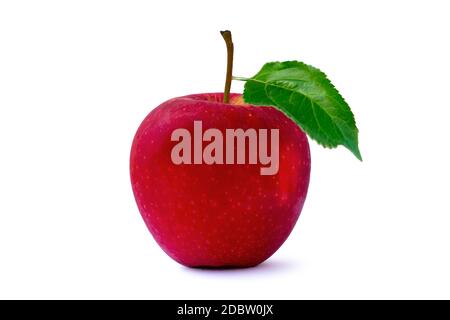 Red apples and green leaves isolated on a white background with the clipping path. Stock Photo