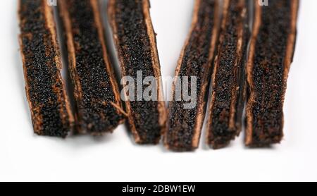 Vanilla pods cut with knife, black seeds visible, closeup detail photo isolated on white background. Stock Photo