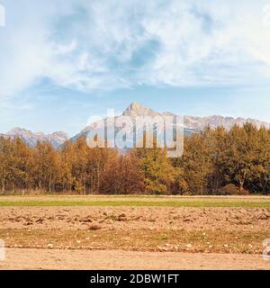 Mount Krivan peak Slovak symbol with blurred autumn coloured trees and dry field in foreground, Typical autumnal scenery of Liptov region, Slovakia. Stock Photo