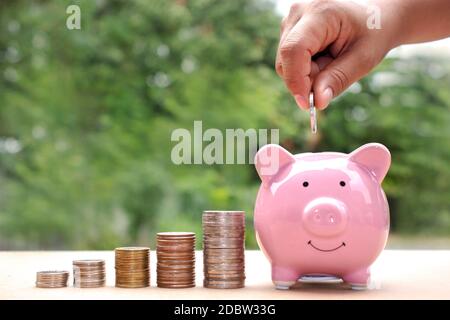 Close-up of a woman putting a coin in a piggy bank, including a coin stack, saving ideas and financial growth. Stock Photo