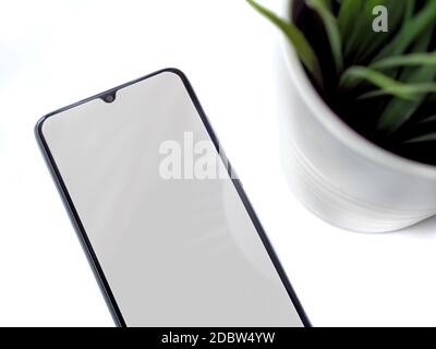 Modern minimalist workspace with black mobile smartphone mockup lies on the surface with a blank screen. Office desk table with a green plant. Top vie Stock Photo