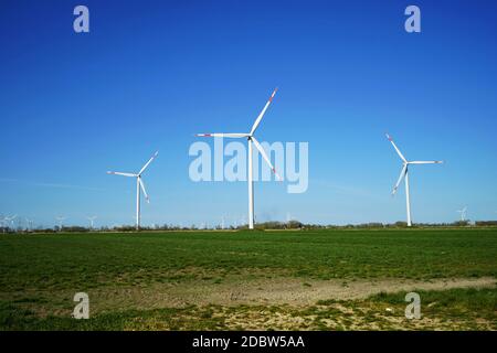 Wind turbines under a blue sky in summer Stock Photo