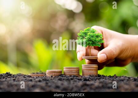 Growing a small tree with money, including money that grows on the ground in a lush environment, ideas for investment success and financial growth. Stock Photo