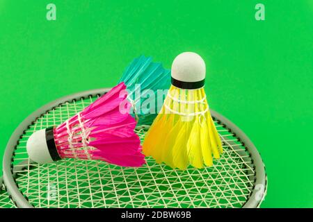 Badminton rackets and colorful feathered shuttlecocks in blue, yellow and pink on green background in a close up view Stock Photo
