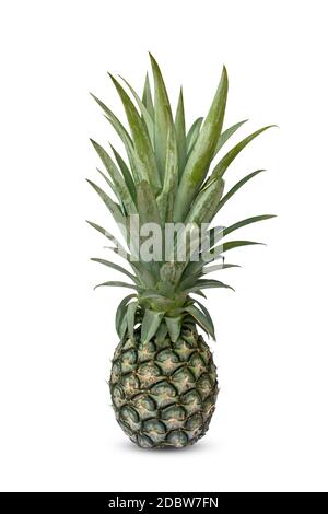Pineapple, isolated on a white background with the clipping path. Stock Photo
