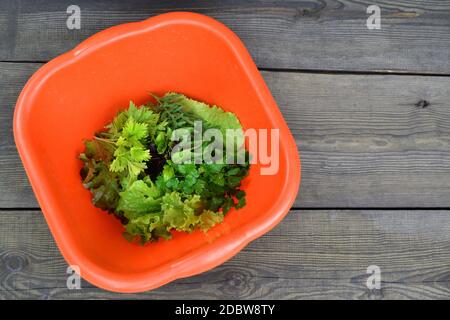 Small spice herb in red bowl on garden rustic wooden table flat lay Stock Photo