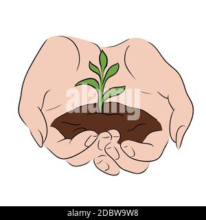 Contour color sketch of female hands holding a sprout with the ground. World Environment Day. Protection and preservation of nature by man. Vector out Stock Vector