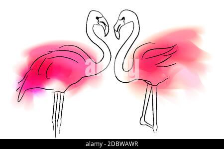 Outline illustration of pair flamingo with pink color stains on white background. Love in relationship. Contour family bird. Vector card for banner, i Stock Vector