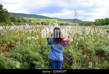 Young woman holding bouquet of autumn wildflowers and branches with red leaves on her shoulder, standing with her back to the camera Stock Photo