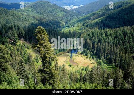 View at the lake Ellbachsee in the Black Forest, Germany Stock Photo
