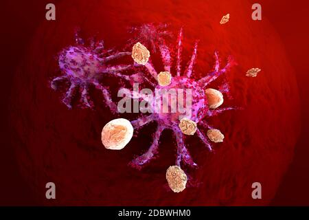 3D rendered Illustration of T-Cells of the immune System attacking ...