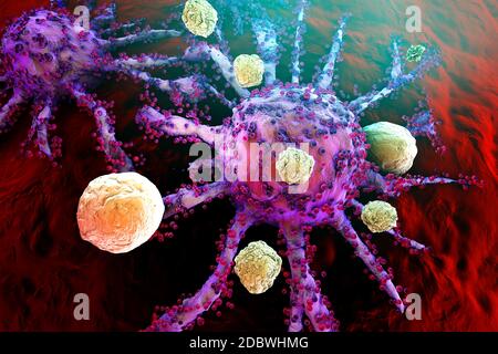 3D rendered Illustration of T-Cells of the immune System attacking growing Cancer cells. Stock Photo