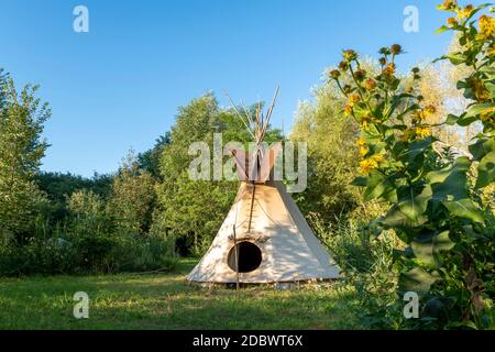 Single Indian tipi stands in a meadow between trees and bushes in the sunshine Stock Photo