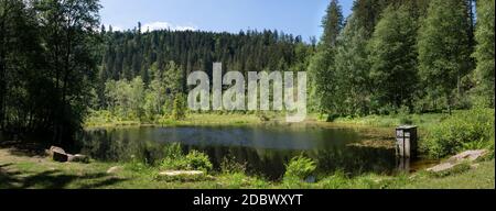 Panorama of the lake Ellbachsee in the Black Forest, Germany Stock Photo
