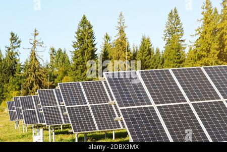 Solar panel collectors in forest, coniferous trees background, clear sky above, closeup detail. Stock Photo