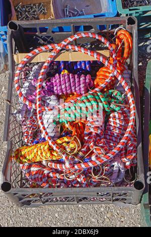 Many various bungee ropes in crate Stock Photo
