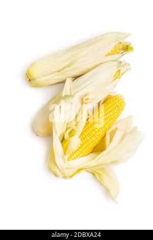 Uncooked corn cob isolated on white background. Stock Photo