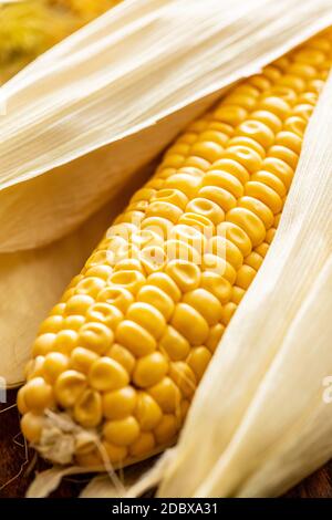 Uncooked corn cob on wooden table. Stock Photo