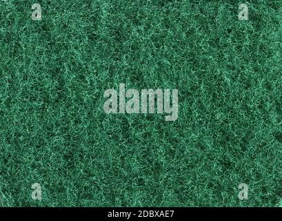 highly detailed green sponge fiber organic texture macro closeup Stock Photo