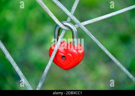 Red heart-shaped padlock hanging on the ropes on green background Stock Photo