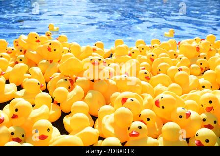Yellow Rubber Ducks in Pool Amusement Park Fishing Game Stock Photo - Alamy