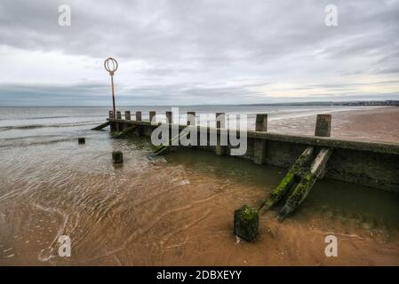 Old wooden groyne structure covered with green algae on Portobello beach during low tide with North sea in the backgroud shot on overcast day. Edinbur Stock Photo