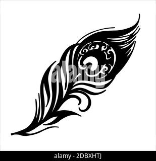 Peacock feather isolated on white background Stock Vector Image & Art -  Alamy