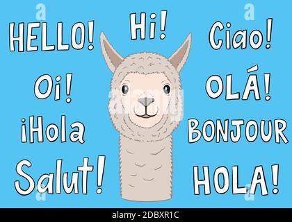 Llama with greetings in different languages. Vector Illustration Stock Vector