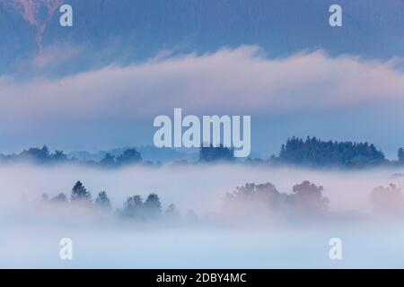 geography / travel, Germany, Bavaria, wisp at Riegsee dahinterHoernle in Ammergau Alps, Upper Bavaria, Additional-Rights-Clearance-Info-Not-Available Stock Photo