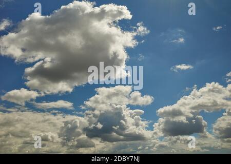 Fluffy cumulus clouds are flying high up in the daylight blue sky Stock Photo