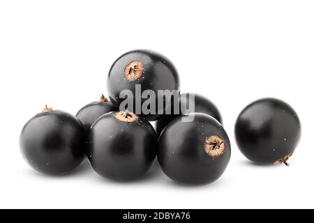 Black currant isolated on white background, clipping path, full depth of field Stock Photo