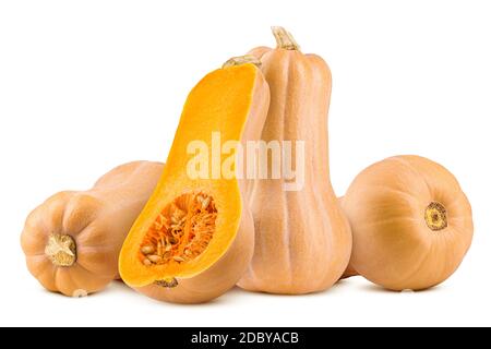 pumpkin butternut squash isolated on white background, clipping path, full depth of field Stock Photo