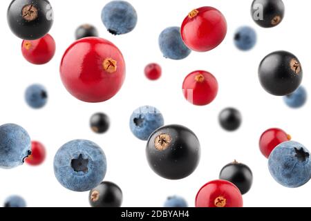Falling berries, cranberry, blueberry, black currant, isolated on white background Stock Photo