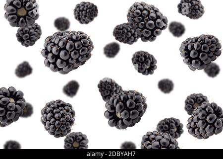 Falling blackberry isolated on white background, selective focus Stock Photo