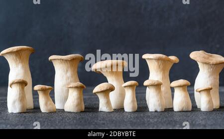 Raw king oyster mushrooms on dark background Stock Photo