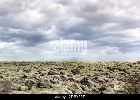 Moss at Eldhraun Lava Field, Iceland Stock Photo