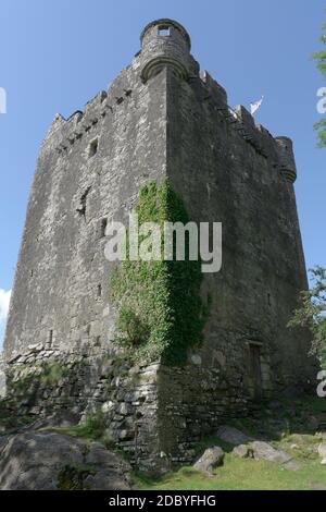 Sun and shade contrast across the imposing vertical exterior walls of moy castle near lochbuie on the isle of mull. Blue skies and strong composition Stock Photo