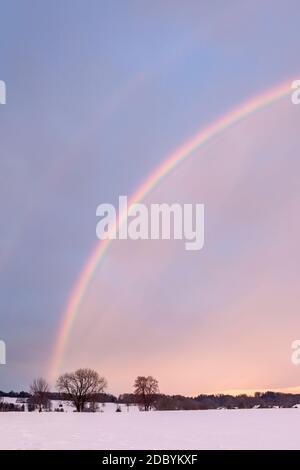 geography / travel, Germany, Bavaria, Grossweil, rainbow near Grossweil, Upper Bavaria, Additional-Rights-Clearance-Info-Not-Available Stock Photo