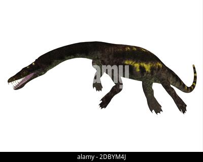 Nothosaurus was a semi-aquatic carnivorous reptile that lived in the ...