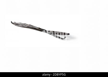 Bourbon vanilla beans, vanilla pods isolated on white. Culinary, gourmet, spices and exotic food concepts Stock Photo