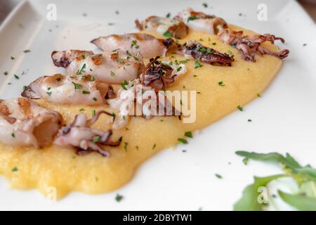 Grilled cuttlefish with polenta and salad. Typical italian fish dish of the upper Adriatic Sea. Close-up with selective focus. Shallow DOF. Stock Photo