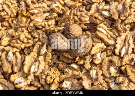 Closeup of big shelled walnuts pile. Walnut kernels and whole walnuts top view. Fresh raw walnuts full of healthy fats, fiber, vitamins and minerals.E Stock Photo